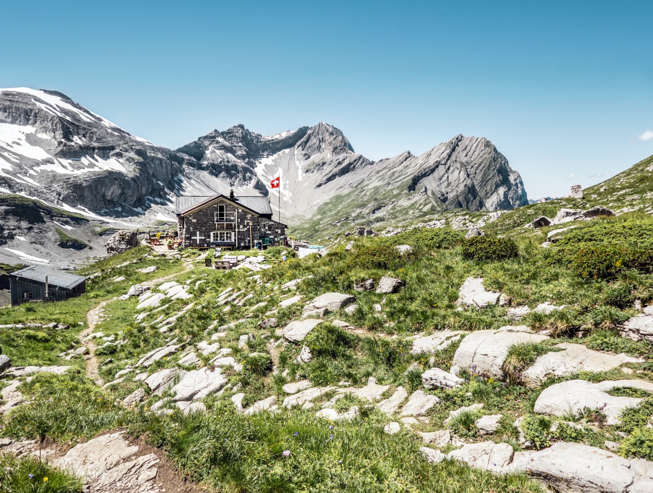 SUISSE
