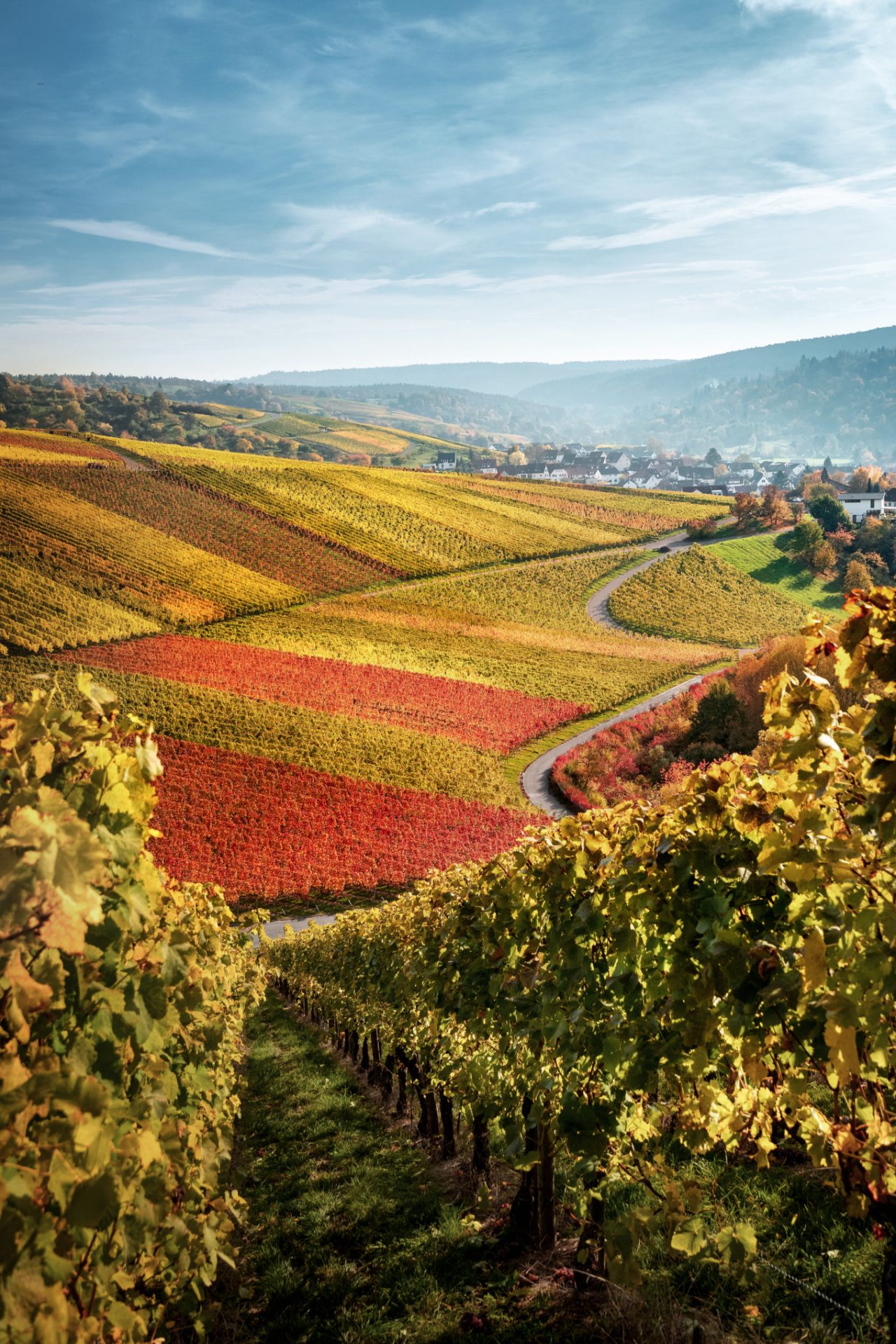 ALLEMAGNE